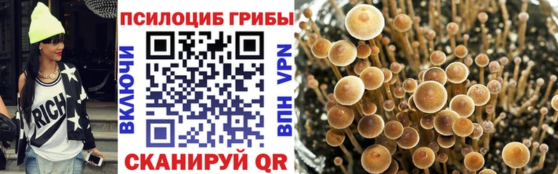 Галлюциногенные грибы Magic Shrooms  Брянск 